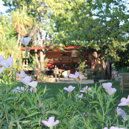 Domaine Sesquier Mas D'Exception Jasmin Villa Meze Exterior photo