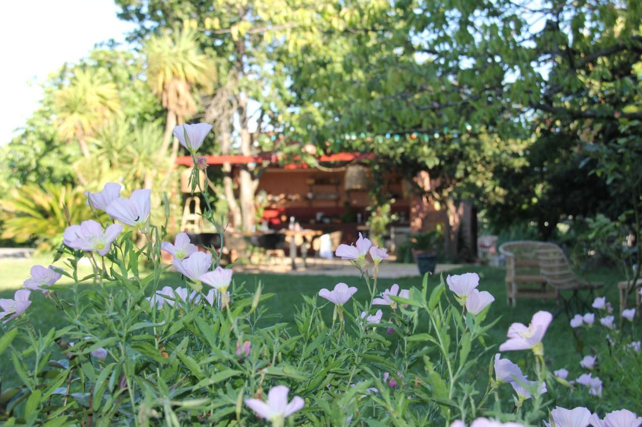 Domaine Sesquier Mas D'Exception Jasmin Villa Meze Exterior photo
